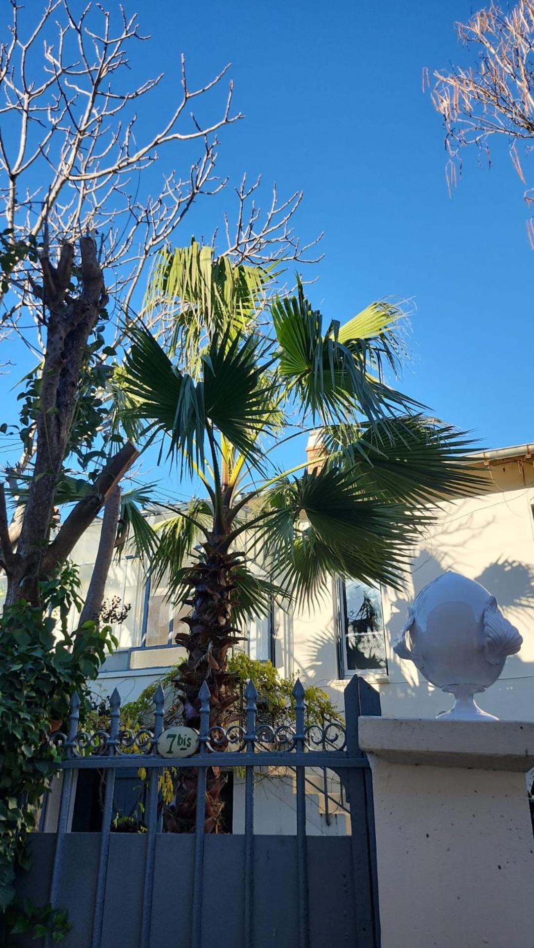 Villa Le Nid Aviñón Exterior foto